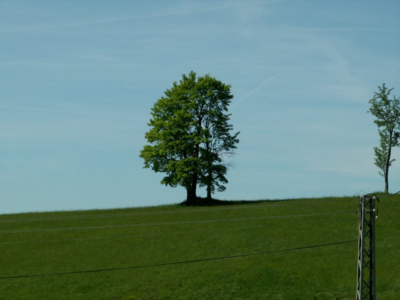 100606_PICT0054.JPG