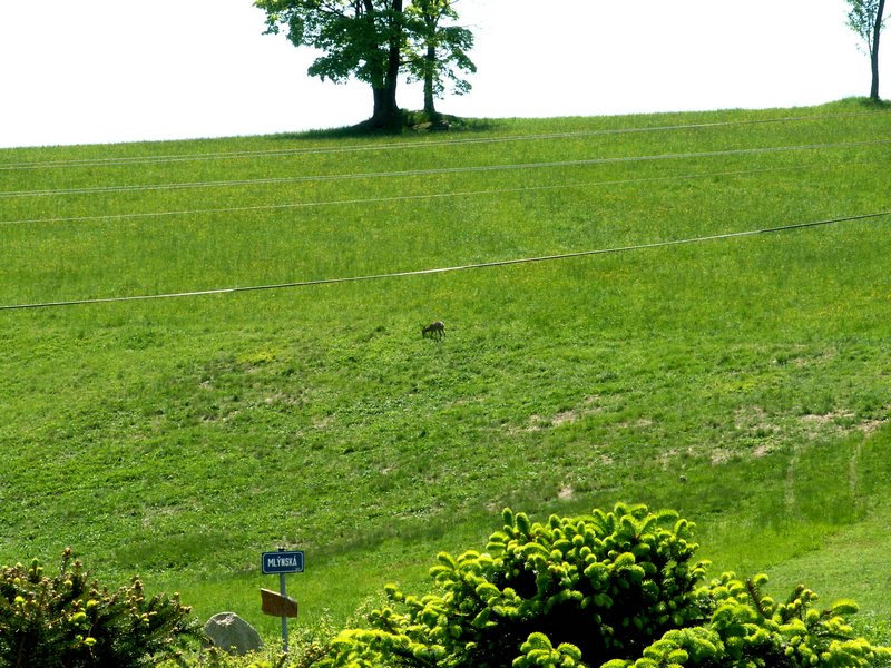 100606_PICT0064.JPG