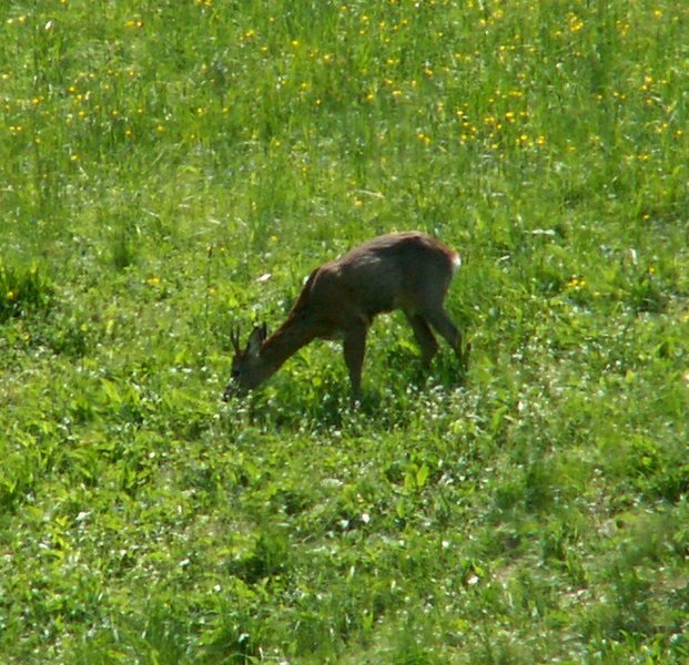 100606_PICT0067.JPG
