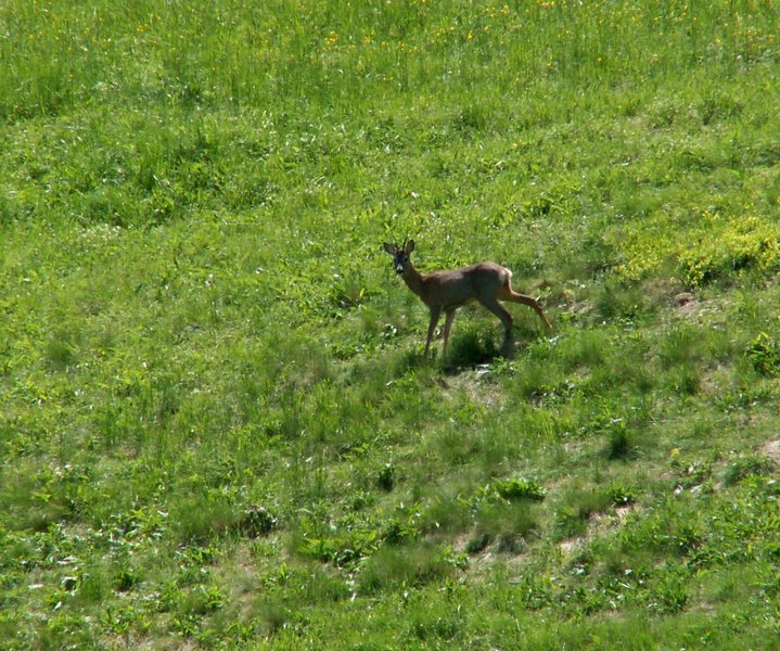 100606_PICT0069.JPG