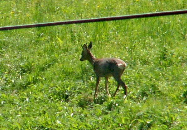 100606_PICT0072.JPG