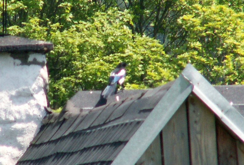 100606_PICT0076.JPG