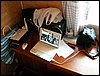 100606_PICT0001.JPG