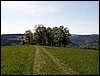100606_PICT0020.JPG