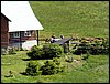 100606_PICT0022.JPG