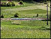 100606_PICT0025.JPG