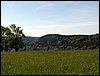 100606_PICT0027.JPG