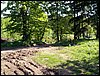 100606_PICT0029.JPG