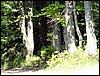 100606_PICT0032.JPG