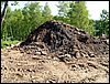 100606_PICT0034.JPG