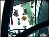 100606_PICT0035.JPG