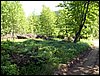 100606_PICT0036.JPG