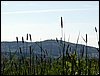 100606_PICT0039.JPG