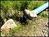 100606_PICT0042.JPG