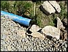 100606_PICT0044.JPG