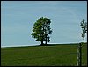 100606_PICT0054.JPG