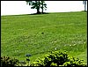 100606_PICT0064.JPG