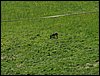 100606_PICT0065.JPG