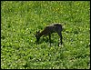 100606_PICT0065b.JPG