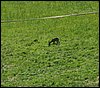 100606_PICT0066.JPG