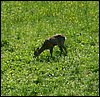 100606_PICT0067.JPG