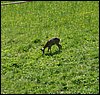 100606_PICT0068.JPG
