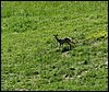 100606_PICT0069.JPG