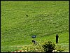 100606_PICT0071.JPG