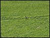 100606_PICT0073.JPG