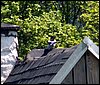 100606_PICT0075.JPG