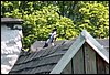 100606_PICT0076.JPG
