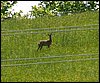 100606_PICT0077.JPG