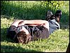 100606_PICT0098.JPG