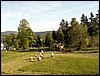 100606_PICT0099.JPG