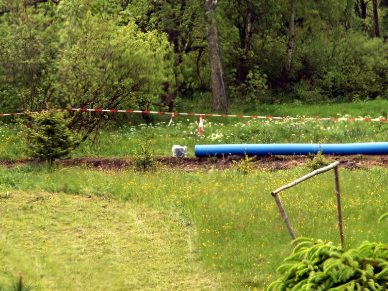 100607_PICT0020.JPG