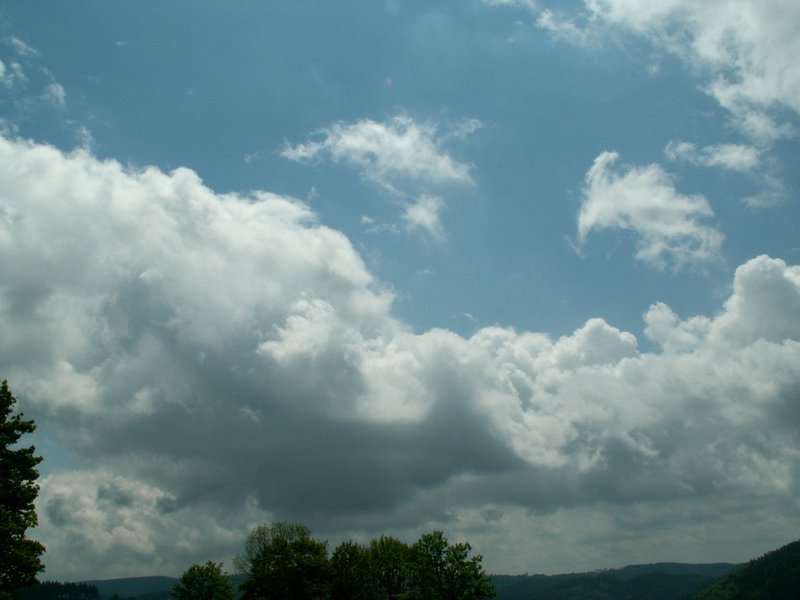 100607_PICT0037.JPG