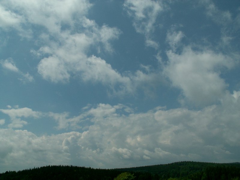 100607_PICT0038.JPG