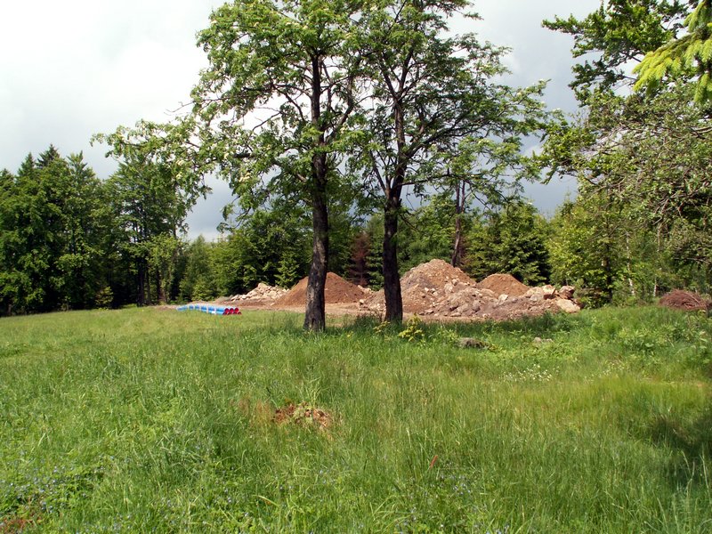 100607_PICT0039.JPG