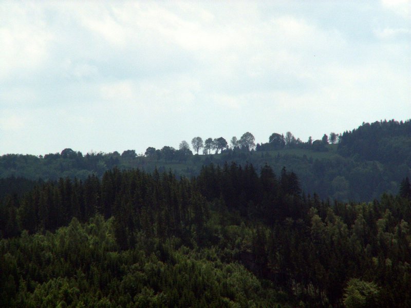 100607_PICT0042.JPG