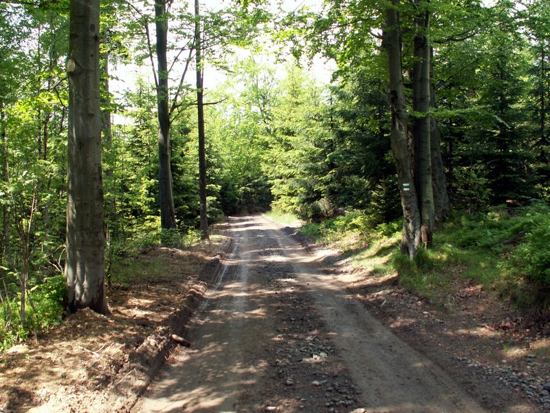 100607_PICT0045.JPG