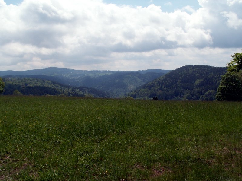 100607_PICT0046.JPG