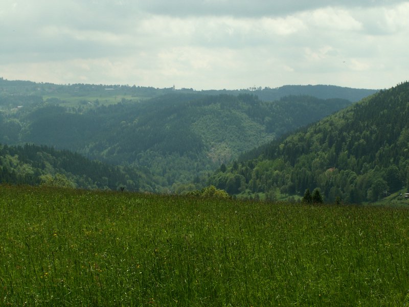 100607_PICT0047.JPG