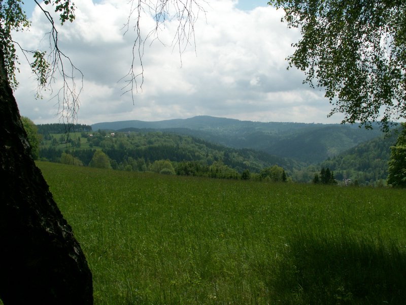 100607_PICT0048.JPG