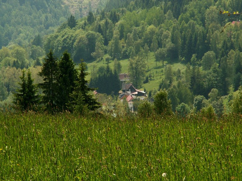 100607_PICT0050.JPG
