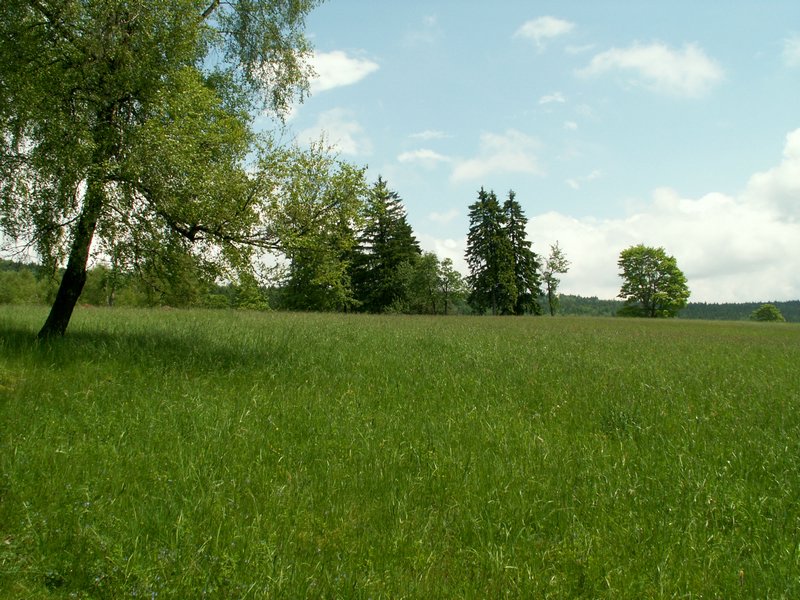 100607_PICT0051.JPG