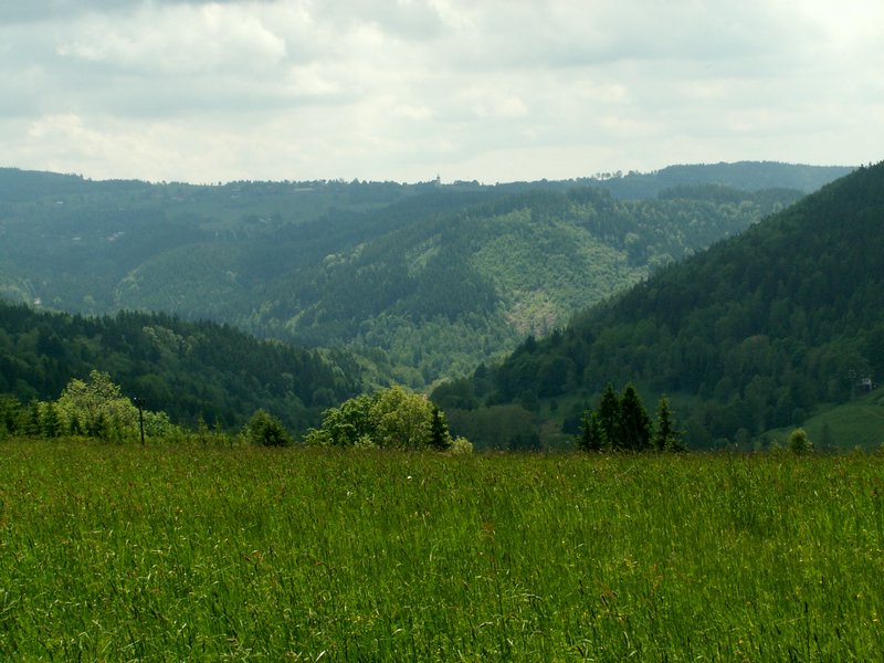 100607_PICT0052.JPG
