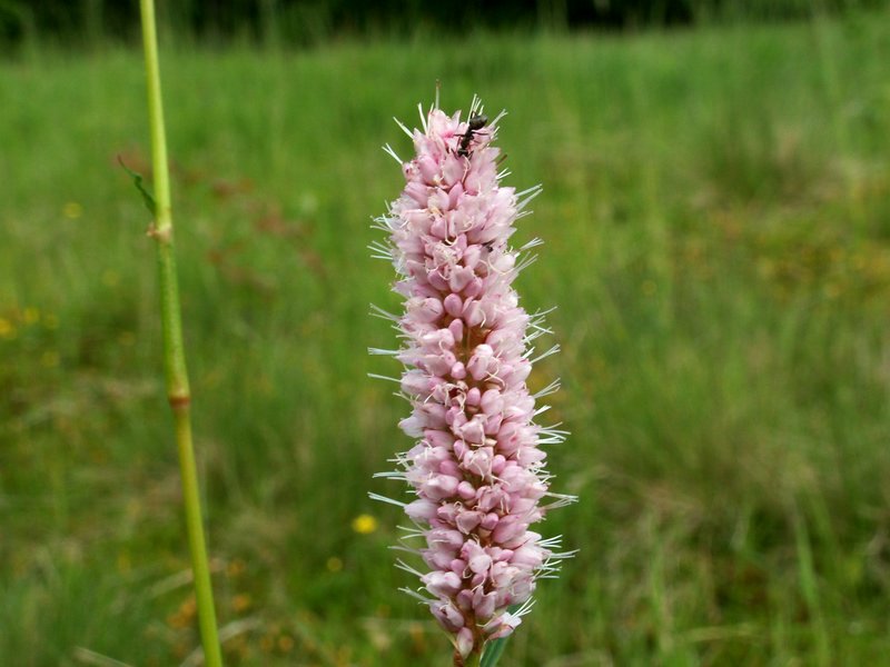 100607_PICT0068.JPG