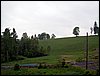 100607_PICT0001.JPG