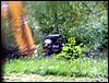 100607_PICT0019.JPG