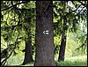 100607_PICT0030.JPG